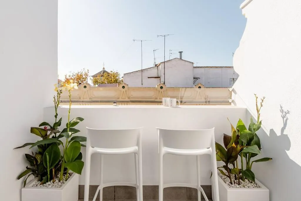 Atico C/ Adriano_Catedral. Apartment Seville